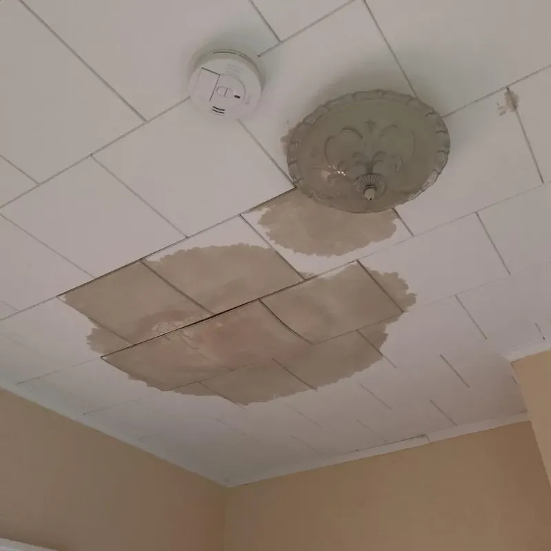 Ceiling Water Damage Repair in Cattaraugus County, NY