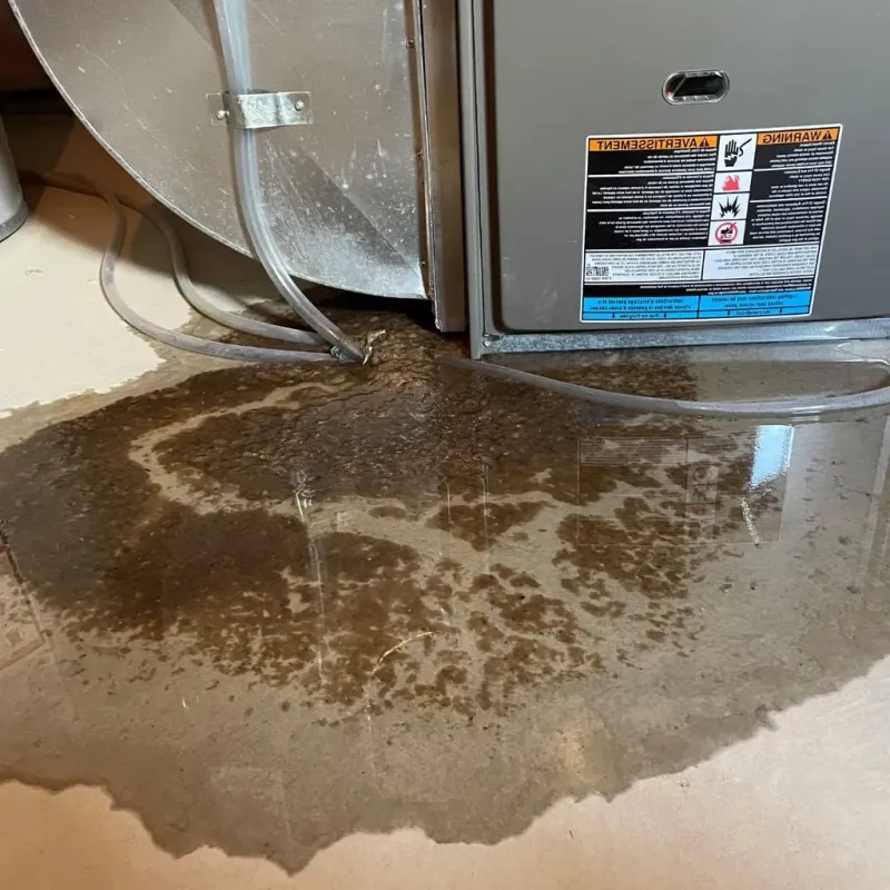 Pipe Burst and Leak Restoration in Cattaraugus County, NY