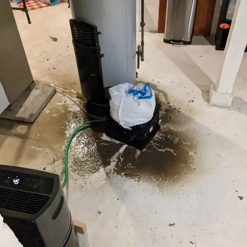 Sewage Backup Cleanup Service in Cattaraugus County, NY